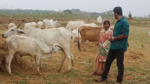 Vikash Das