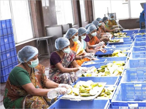 akshaya-patra-foundation-mid-day-meal